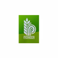 pioneer